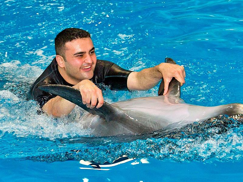 Dubai Dolphinarium thumbnail 3