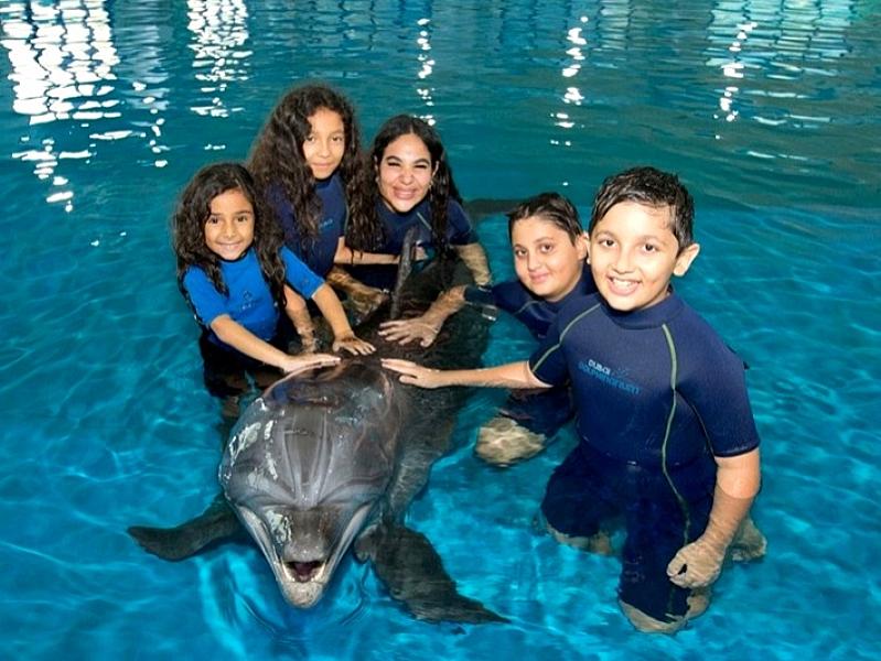 Dubai Dolphinarium thumbnail 2