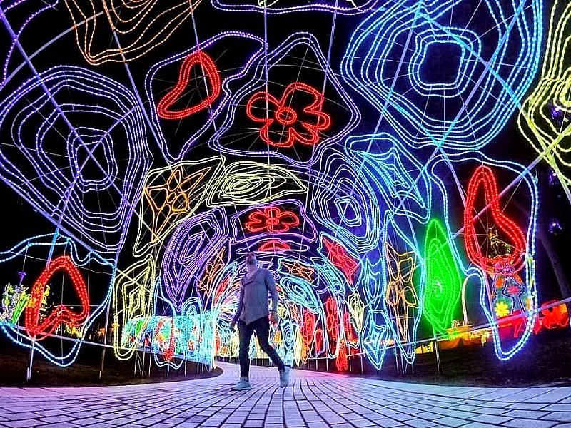 Dubai Garden Glow thumbnail 3