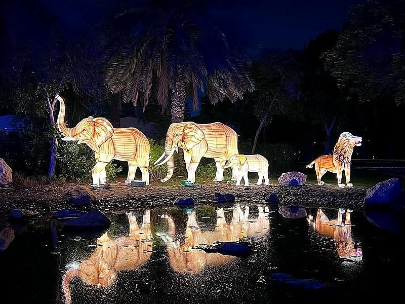 Dubai Garden Glow thumbnail 6