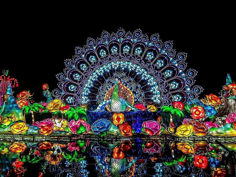 Dubai Garden Glow thumbnail 7