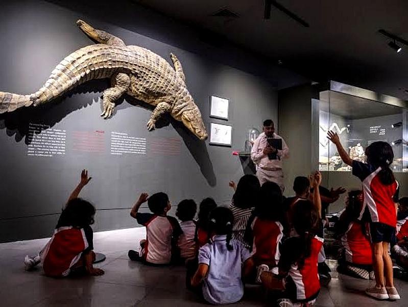Dubai Crocodile Park thumbnail 4