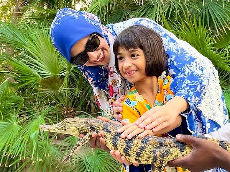 Dubai Crocodile Park thumbnail 5