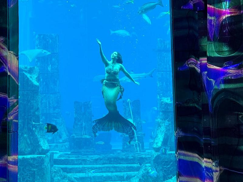 Lost World Aquarium thumbnail 9