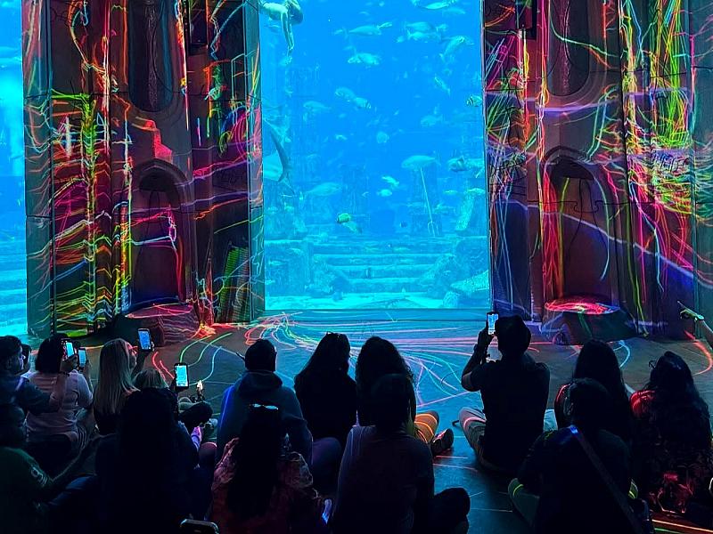 Lost World Aquarium thumbnail 10