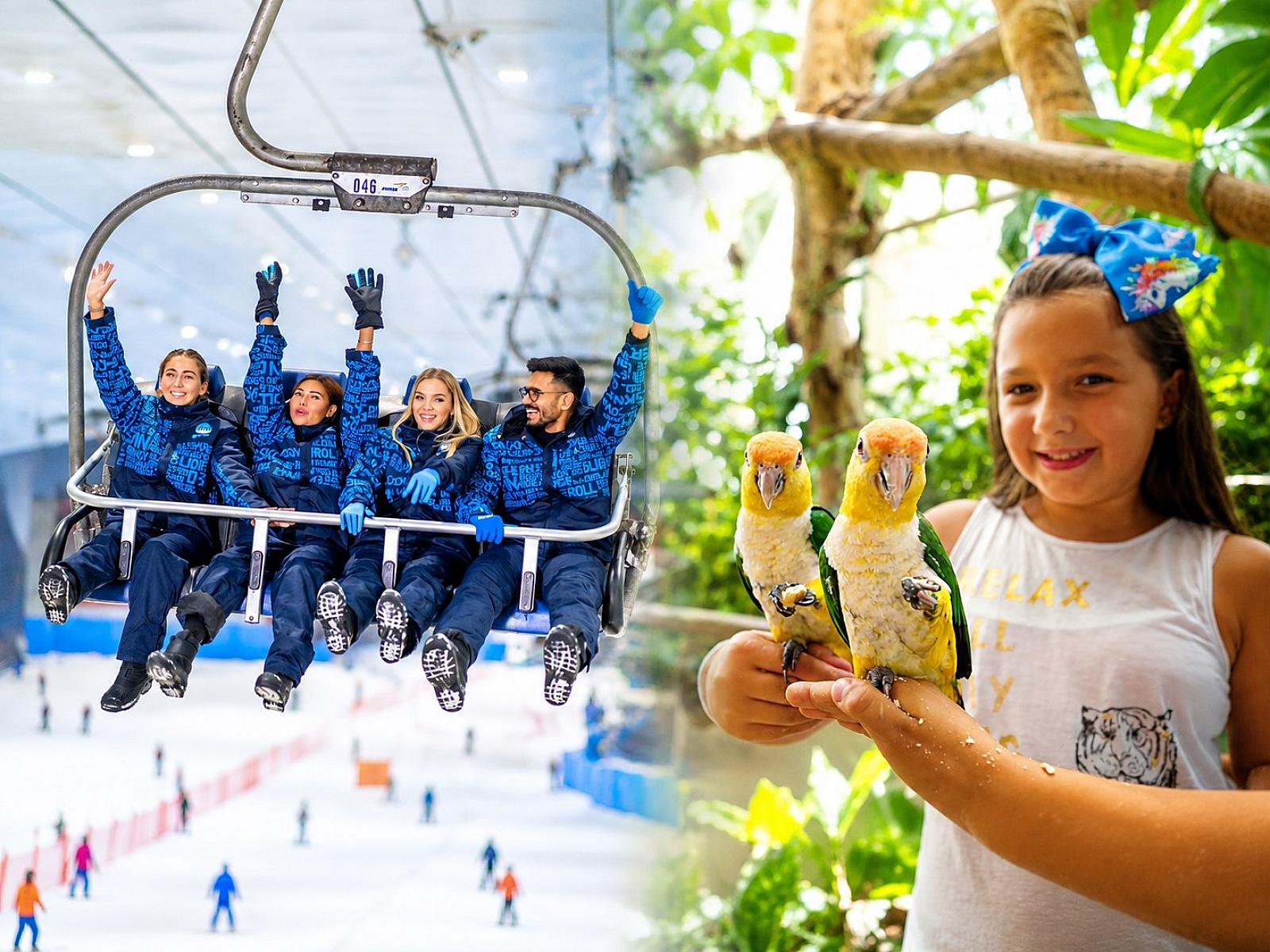 Ski Dubai Snow Classic + The Green Planet