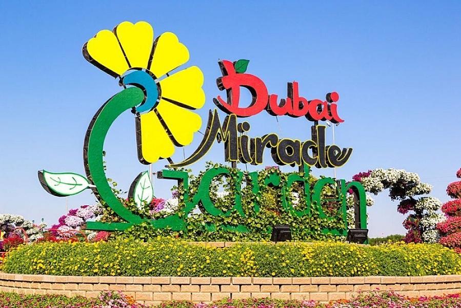 Dubai Miracle Garden - Image 1