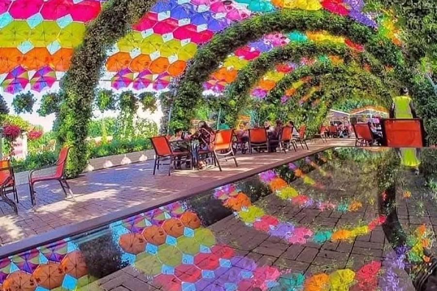 Dubai Miracle Garden thumbnail 2