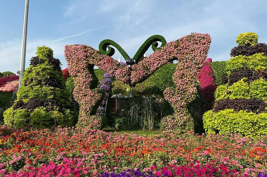 Dubai Miracle Garden thumbnail 3