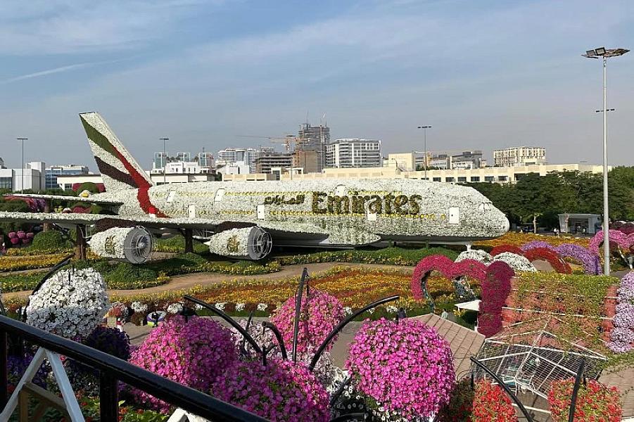 Dubai Miracle Garden thumbnail 4