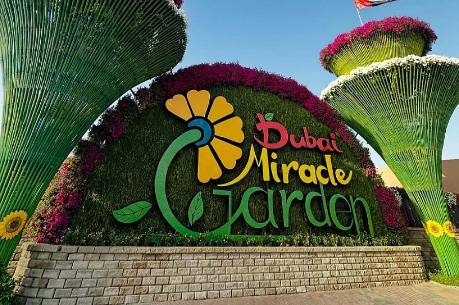 Dubai Miracle Garden thumbnail 5