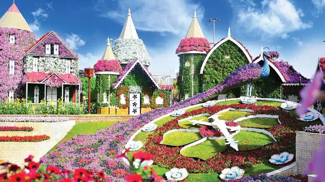 Dubai Miracle Garden thumbnail 6