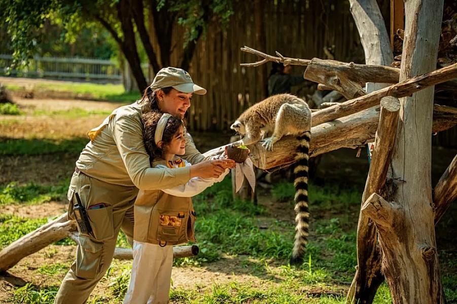 Dubai Safari Park - Image 1