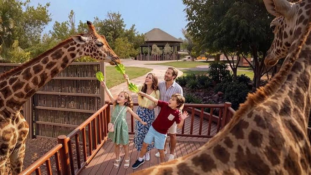 Dubai Safari Park thumbnail 2