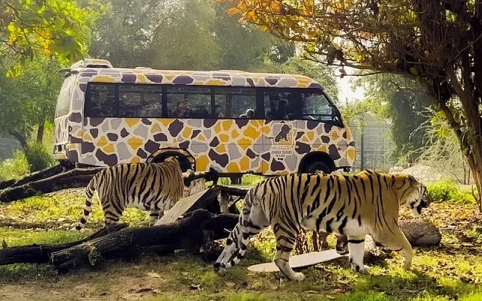 Dubai Safari Park thumbnail 4
