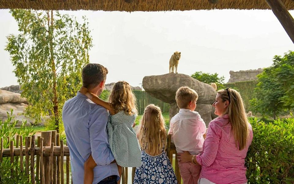 Dubai Safari Park thumbnail 5