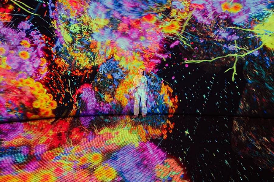 teamLab Phenomena Abu Dhabi thumbnail 7