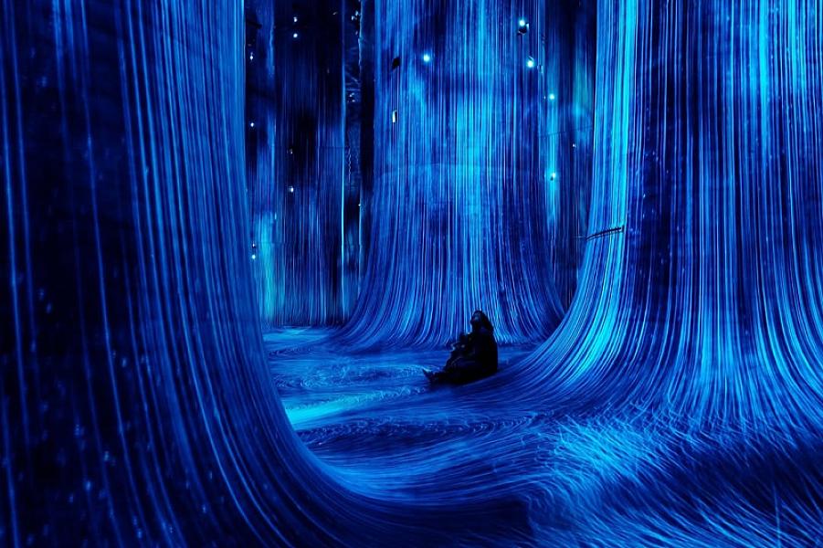 teamLab Phenomena Abu Dhabi thumbnail 8
