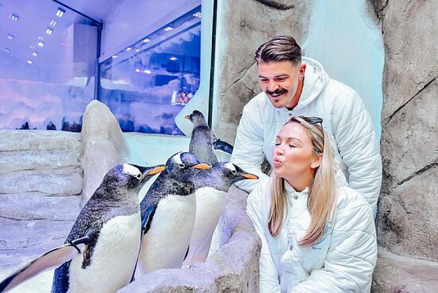 Dubai Aquarium & Underwater Zoo thumbnail 2