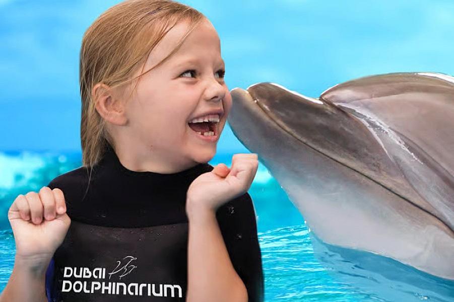 Dubai Dolphinarium - Image 1