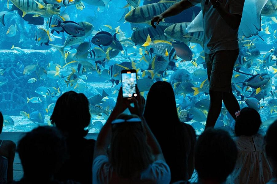 Lost World Aquarium - Image 1