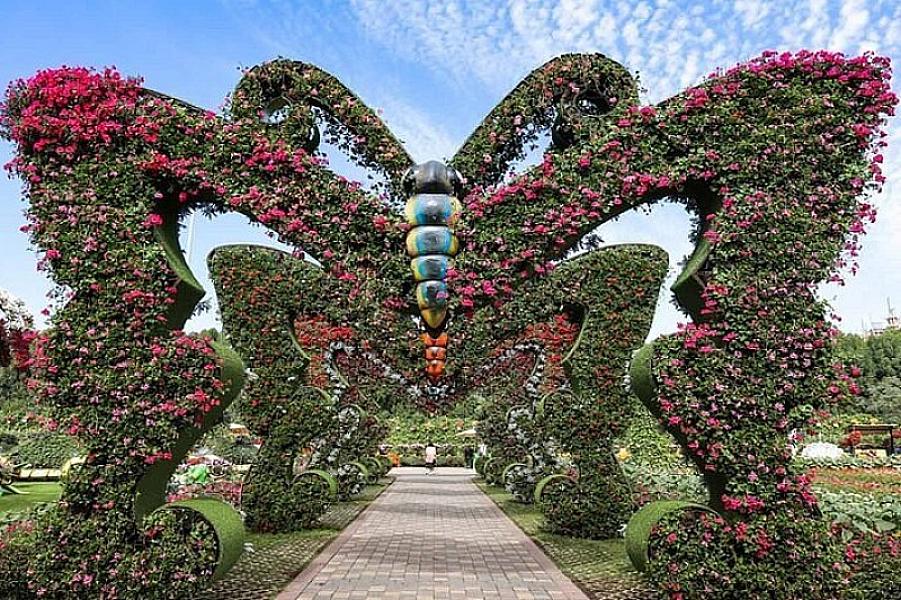 Dubai Butterfly Garden thumbnail 3